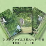 cf2gs-011