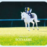 sodashi004