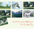 クリアファイル・ポストカード(2023GSクラファン企画)