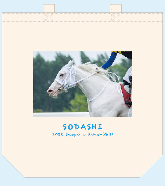 sodashi007