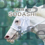 sodashi001c
