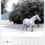 cf8_calendar2025