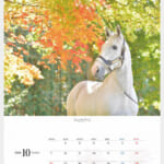 cf8_calendar2025