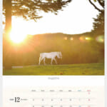 cf8_calendar2025