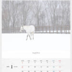 cf8_calendar2025