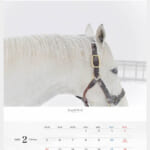 cf8_calendar2025