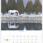 cf8_calendar2025