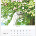 cf8_calendar2025