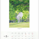 cf8_calendar2025