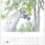 cf8_calendar2025