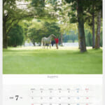 cf8_calendar2025