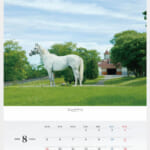 cf8_calendar2025