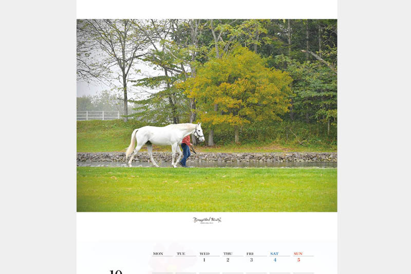 期間限定品・期間限定価格品