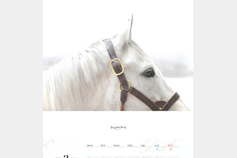 期間限定品・期間限定価格品